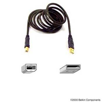 Belkin 10FT Gold Series USB Device Cable (F3U133-10-GOLD)